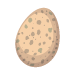 egg